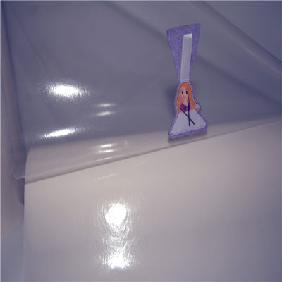 0.15mm thicknessPA Hot Melt Adhesives Film for Garment Accessories in China Manufacturer